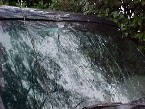 1995 Ford Bronco - The windshield is heavily cracked, obscuring the view of the vehicle's interior and surroundings.