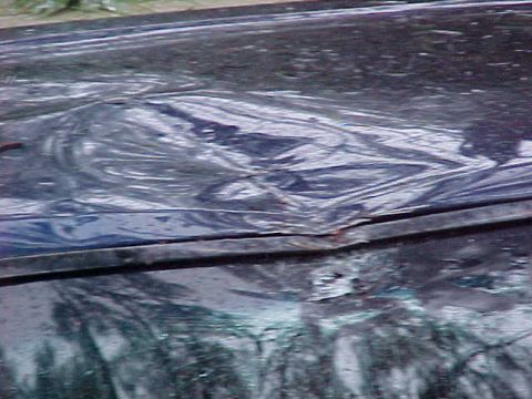 1995 Ford Bronco - The hood of a vehicle shows significant damage, likely from an impact or severe weather.
