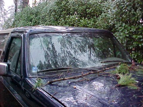 1995 Ford Bronco - A dark SUV is covered in ice and debris from a winter storm.