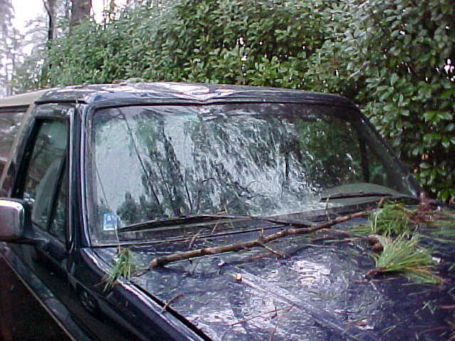 Dark SUV hood and windshield covered in ice, branches, and pine needles