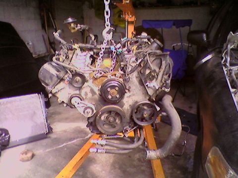 1998 Ford Crown Victoria - Engine assembly suspended on a stand, ready for work or installation.