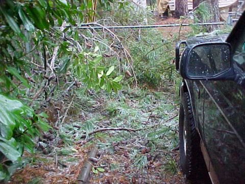 1995 Ford Bronco - Side view of a black SUV parked amidst icy branches and debris after a storm.