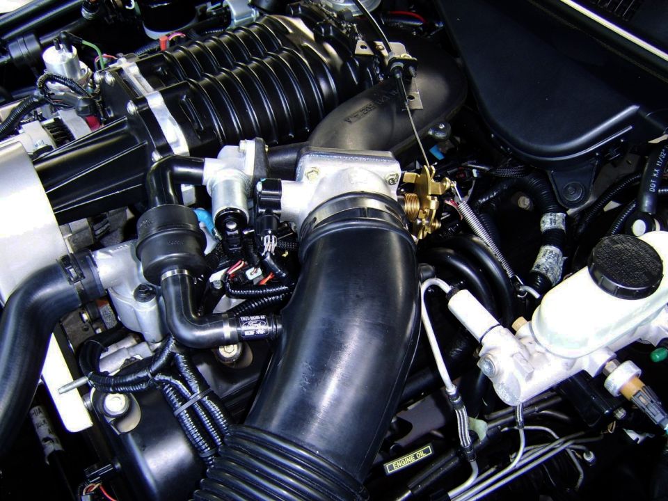 Installed.

Because of my unique configuration, the throttle body is mounted upside down so you don't get to see the 'pretty' side of the T/B

Honestly, I prefer it like this anyway - now it looks like it's still a factory part installed! 

I did not use the BBK-included hardware since I prefer the factory looking gold-tone hardware I had installed previously


The engine bay is ready for a cleaning. You may also notice the new, revised IAC hose setup I installed. Little cleaner look, made it using another IAC 90 elbow and the straight plastic section and barb from a 98-04 CV/GMQ IAC hose, secured with stainless crimp clamps