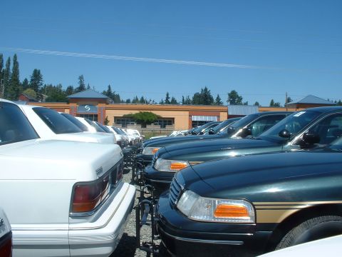 1999 Ford Crown Victoria - All but one ex P.C.S. PI still have their original 12" Setina pushbars.