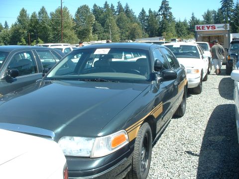 1999 Ford Crown Victoria - I really like that green.