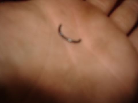 1988 Ford Bronco - Blurry close-up of an open palm holding a small broken C-shaped metal fragment, likely a piece of a snap ring or clip. No vehicle or surrou…