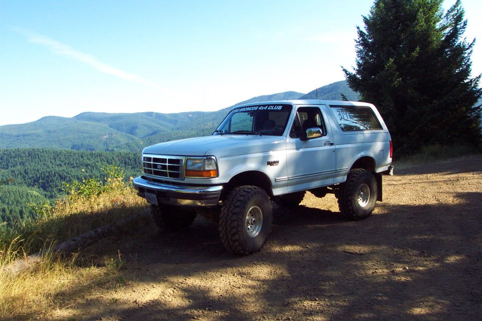Pacific Northwest Bronco.  Feeling Right at Home on Top of Back to Back in Tillamook State Forest, OR<br>(8/18/2002)