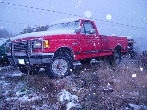 1989 Ford F-250 “parts donor”