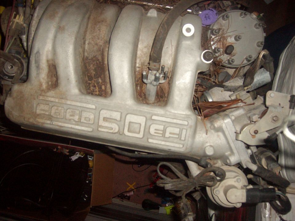 Ford 5.0 EFI intake manifold with visible casting marks and hoses attached