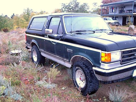 1989 Ford Bronco - This 1989 Ford Bronco is parked outdoors in a dry, brushy area.