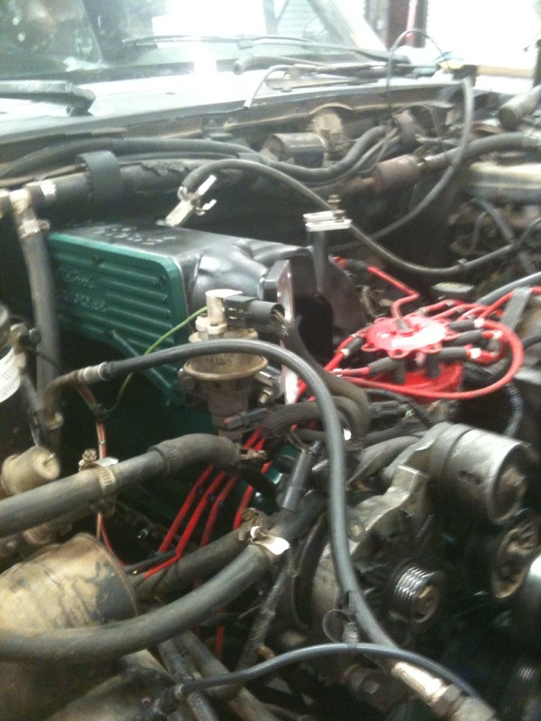 Engine bay with green valve covers, red spark plug wires, and distributor cap