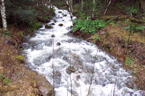 1996 Ford Bronco - Rushing Stream (1/4/2003)