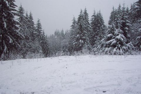 1996 Ford Bronco - Snowing Hard in TSF. (2/17/2003)