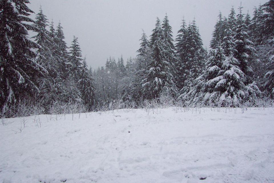 Snowing Hard in TSF.
(2/17/2003)