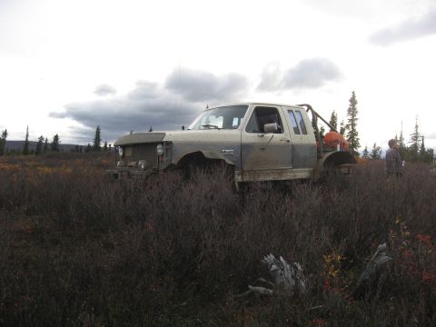 1990 Ford F-250 - This 1990 Ford F-250 is parked in a field with brush and trees under a cloudy sky.