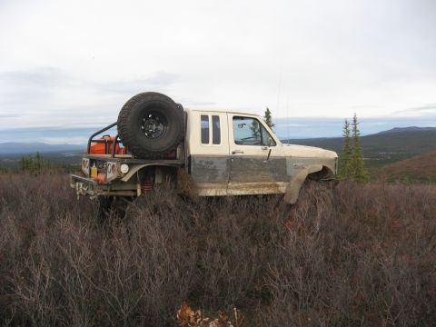 1990 Ford F-250 - This modified Ford F-Series truck is parked off-road, surrounded by dense brush and foliage.