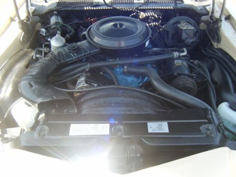 1979 Chevrolet Camaro photo
