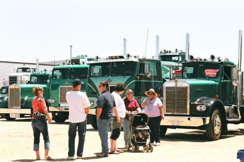 1981 Kenworth W900A - A group of people admire several vintage Kenworth trucks lined up outdoors on a sunny day.