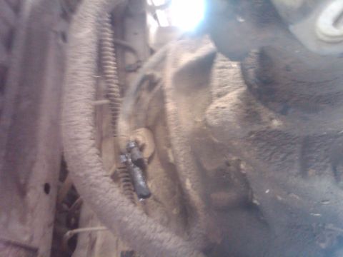 1982 Ford Bronco - Underside view of a vehicle's engine bay, focusing on a hose and associated components.