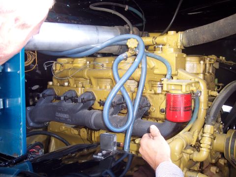 1981 Kenworth W900A - Engine detail with Cummins branding visible on the exhaust manifold and a red fuel filter.