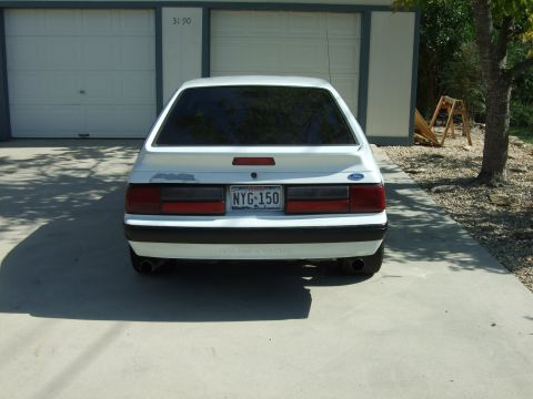 1991 Ford Mustang photo