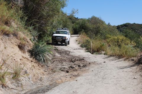 1996 Ford Bronco - A white SUV navigates a dusty, off-road trail surrounded by dry brush and trees.