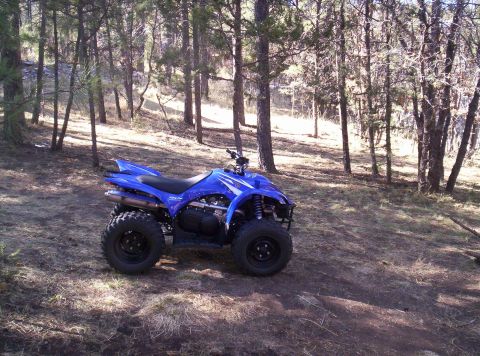 2008 Yamaha WOLVERINE “Wolvey”