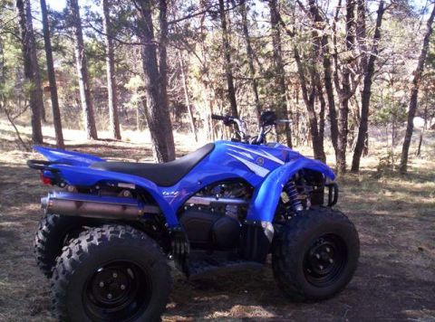 2008 Yamaha WOLVERINE “Wolvey”