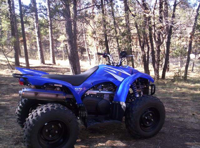 Blue ATV parked in a wooded area