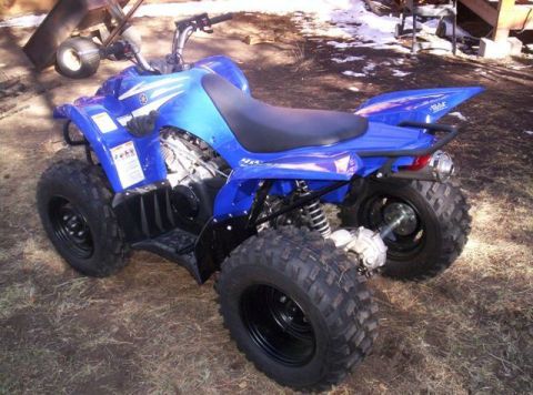 2008 Yamaha WOLVERINE “Wolvey”
