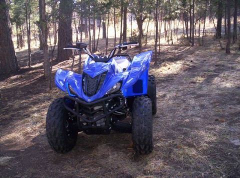 2008 Yamaha WOLVERINE “Wolvey”