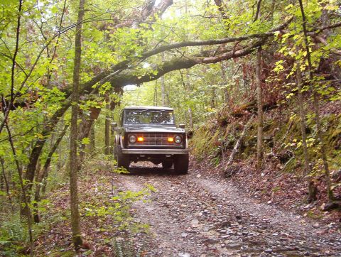 1975 Ford Bronco