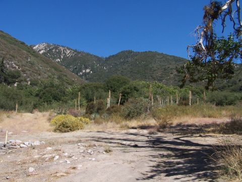 1990 Ford Bronco - A scenic view of a mountain range covered in trees and brush, with a dry, dusty foreground.