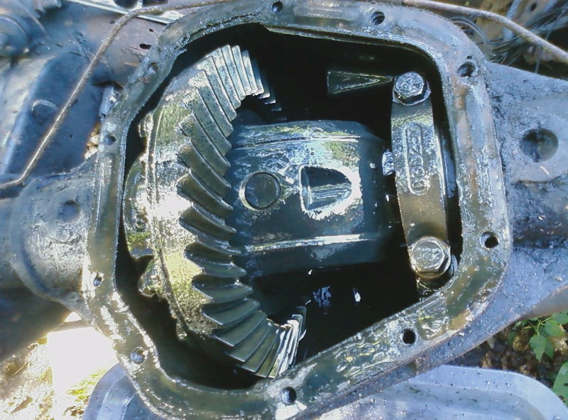 Close-up of an open differential with gears and a metal tag that says DANA 44