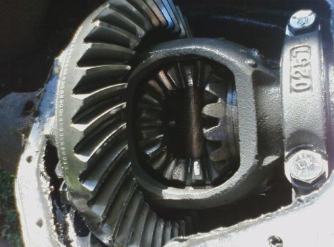 1984 Ford F-150 photo
