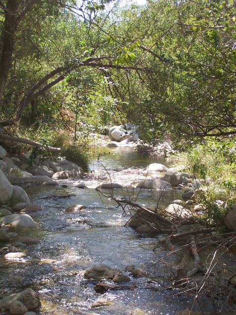 1990 Ford Bronco - A shallow rocky creek runs through a shaded canyon, sunlight sparkling off the water between rounded boulders and fallen branches. Overhang…