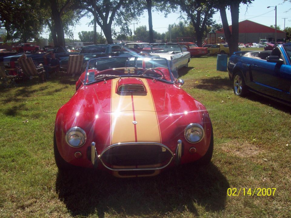 Here is a beautiful cobra