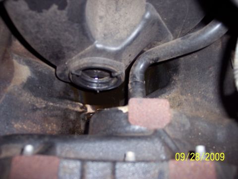 2001 Ford Crown Victoria photo