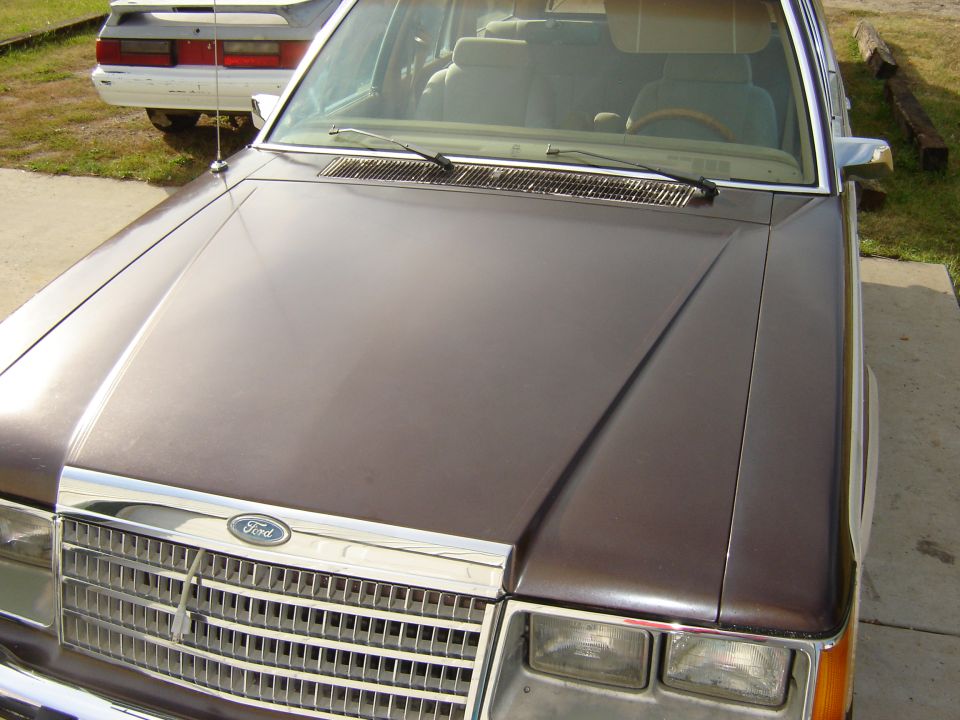 1984 Ford LTD front view, showing grille and hood. White Fox body Mustang in background