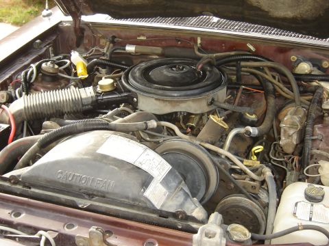 1984 Ford LTD - EFI 3.8 AND C-5 power house?