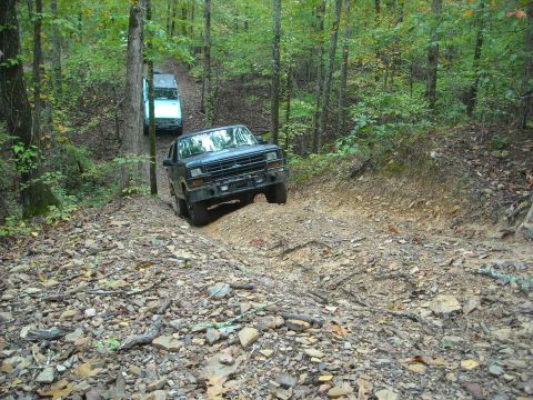 1983 Ford Bronco - Snake photo by Sarah Holt