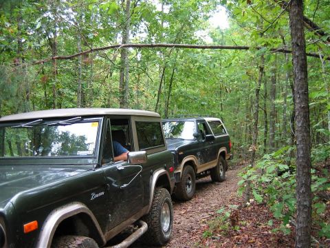 1983 Ford Bronco - Snake photo by Nyles