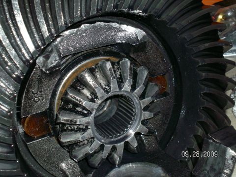 1996 Ford Bronco - Oily close-up inside an open differential showing the splined side gear and spider gears in the carrier, with the ring gear teeth wrapping…