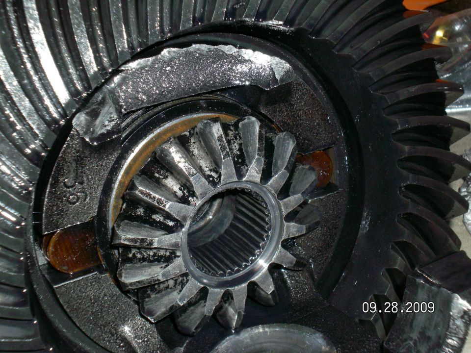 Close-up of oily differential side gear, spider gears and ring gear inside an axle carrier