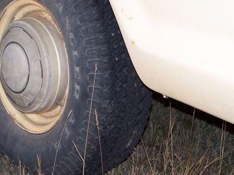 1979 Ford F-250 photo
