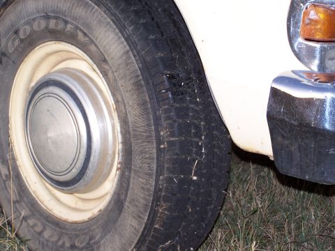 1979 Ford F-250 photo