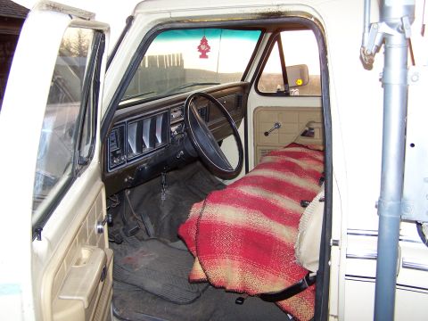 1979 Ford F-250 photo