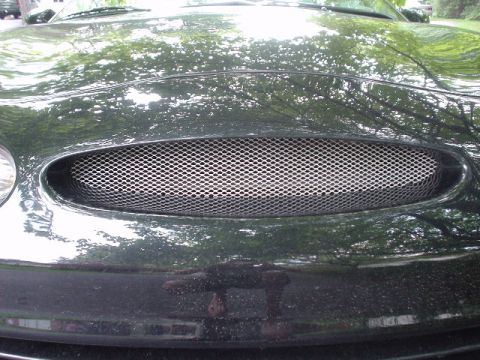 1999 Ford Taurus - My "ricer" mesh that replaced the factory Ford emblem.
