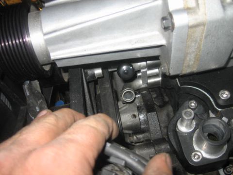 1996 Ford Thunderbird - water outlet hoses