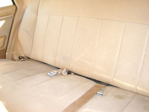 1984 Ford LTD - Interior view of a tan seat with seatbelts and quilted upholstery, showing the 'Supermotors.net' watermark.